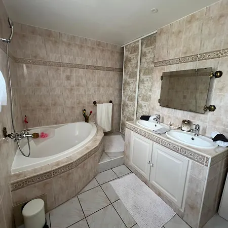 Villa Les Oliviers Beaucaire (Gard)